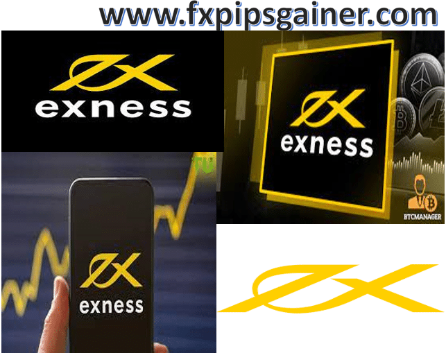 Exploring the Benefits of exness fx for Forex Trading Exploring the Benefits of exness fx for Forex Trading